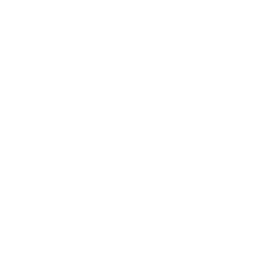 FlowMotion